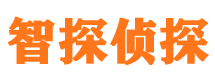 长沙外遇出轨调查取证